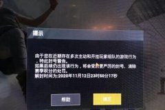 和平精英如何当队友的辅助（和平精英如何无视队友）